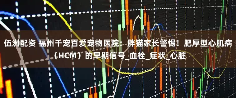 伍洲配资 福州千宠百爱宠物医院：胖猫家长警惕！肥厚型心肌病（HCM）的早期信号_血栓_症状_心脏